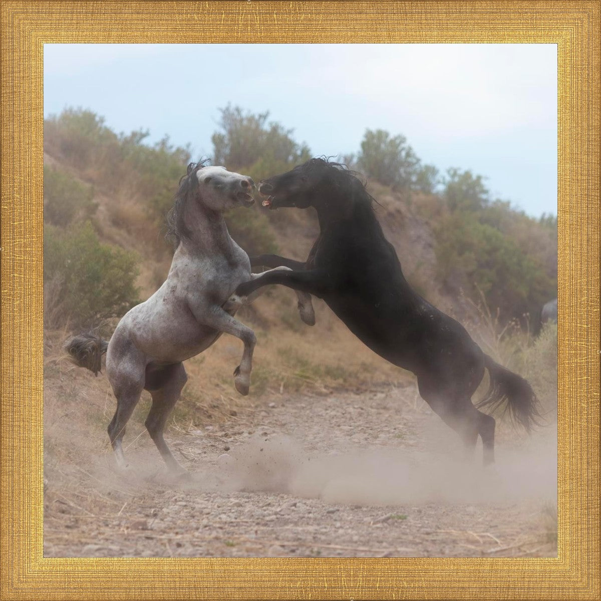 Fight In The Wash