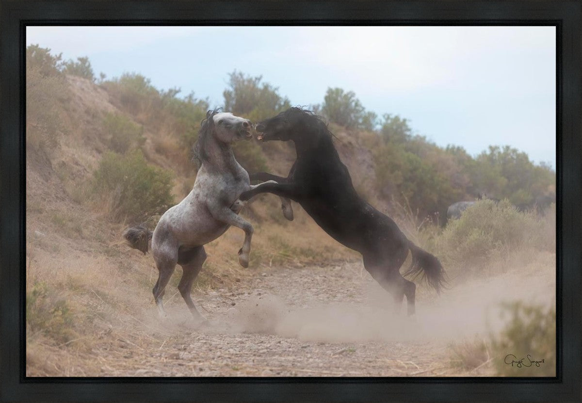 Fight In The Wash