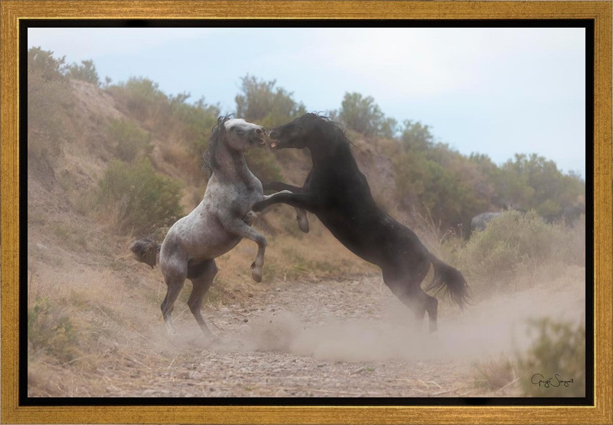 Fight In The Wash