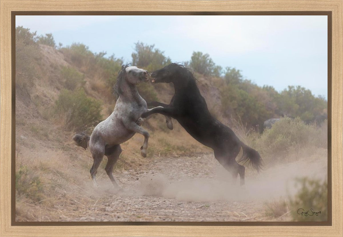 Fight In The Wash