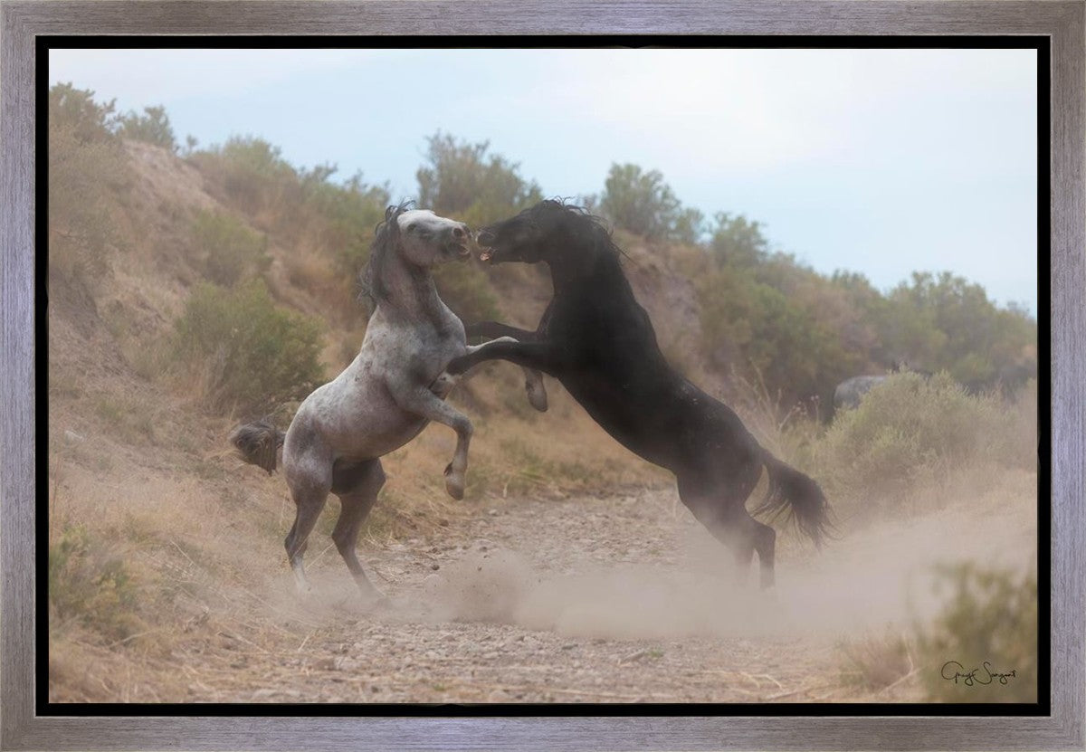 Fight In The Wash