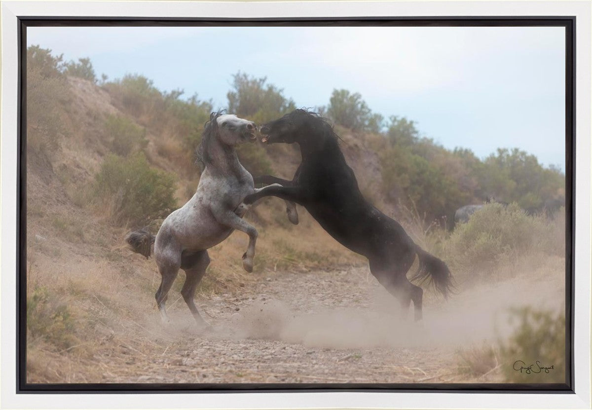Fight In The Wash