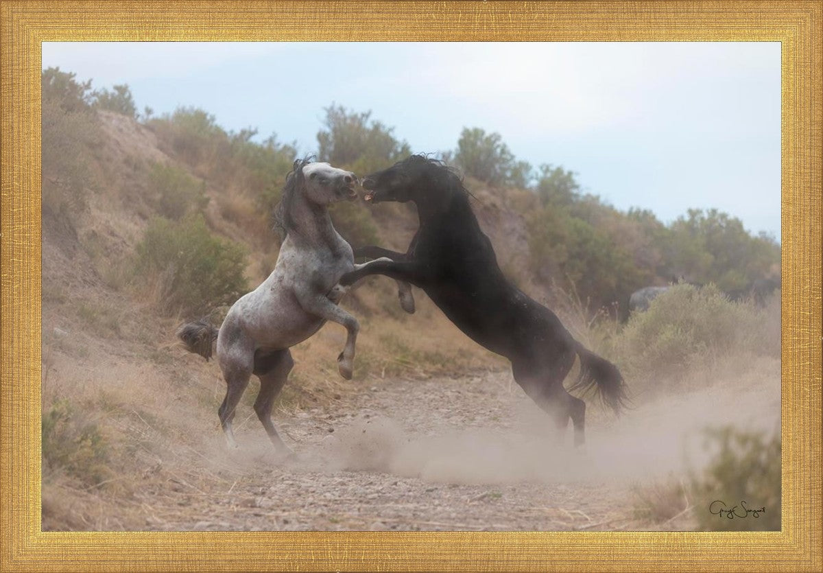 Fight In The Wash