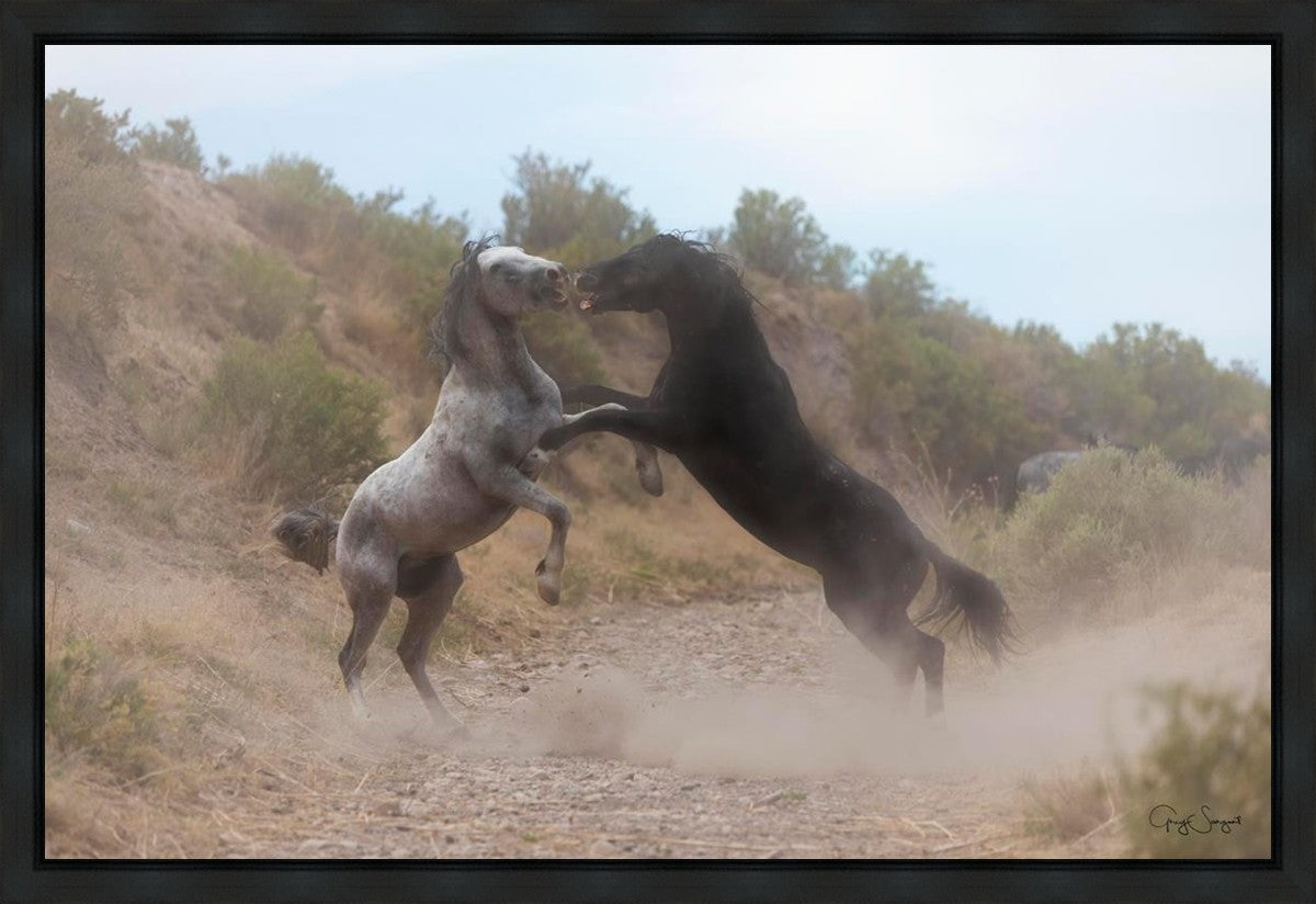 Fight In The Wash