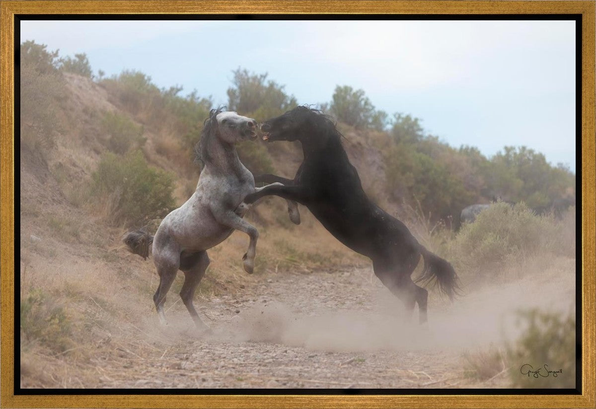 Fight In The Wash