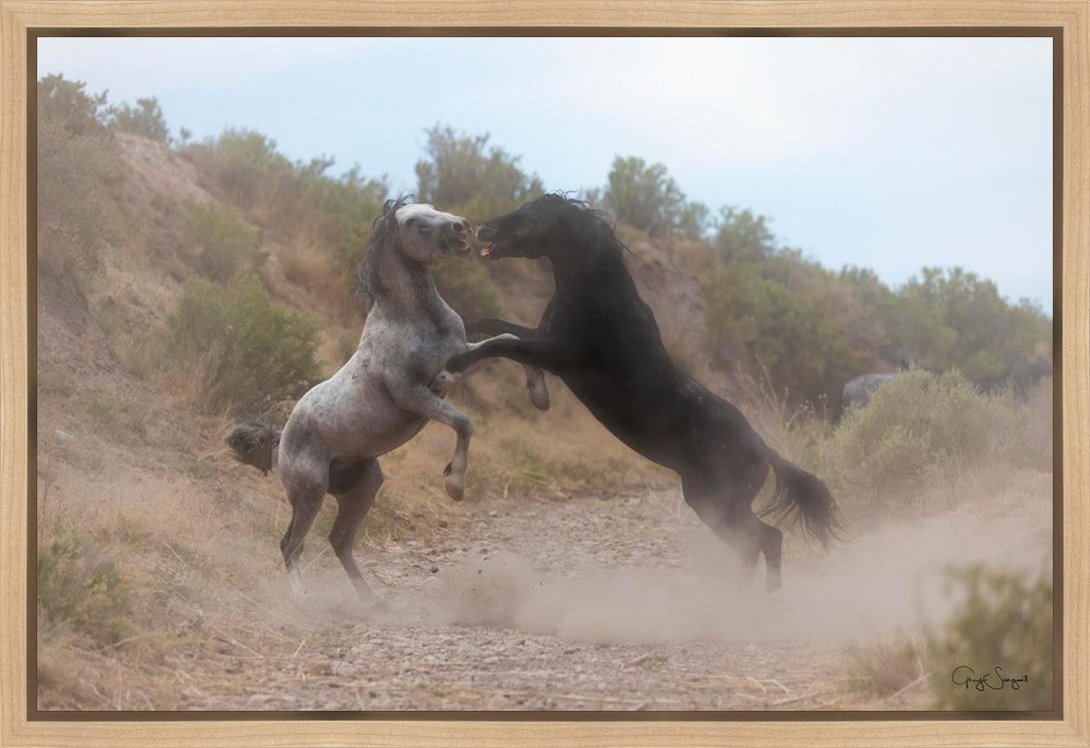 Fight In The Wash