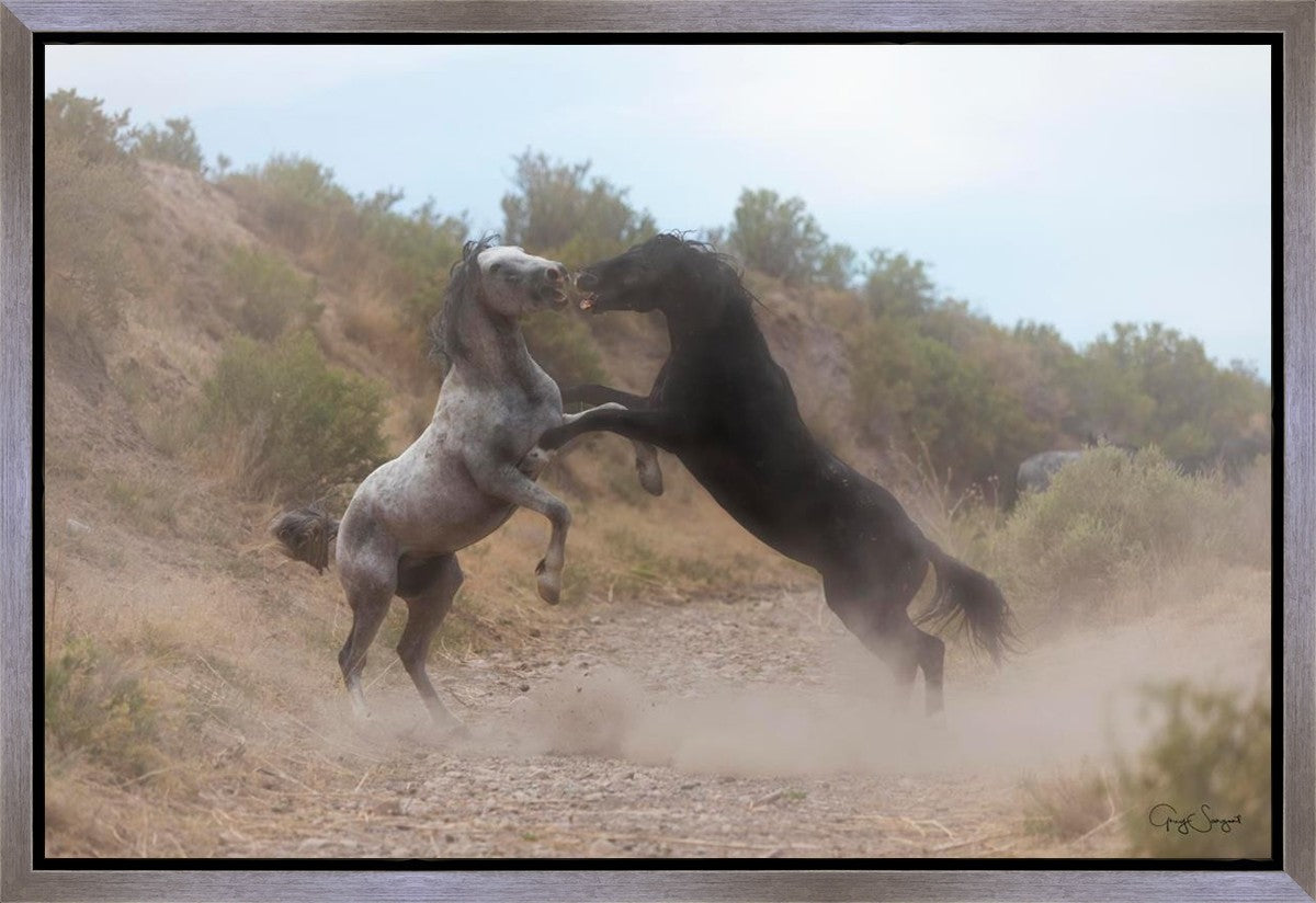 Fight In The Wash