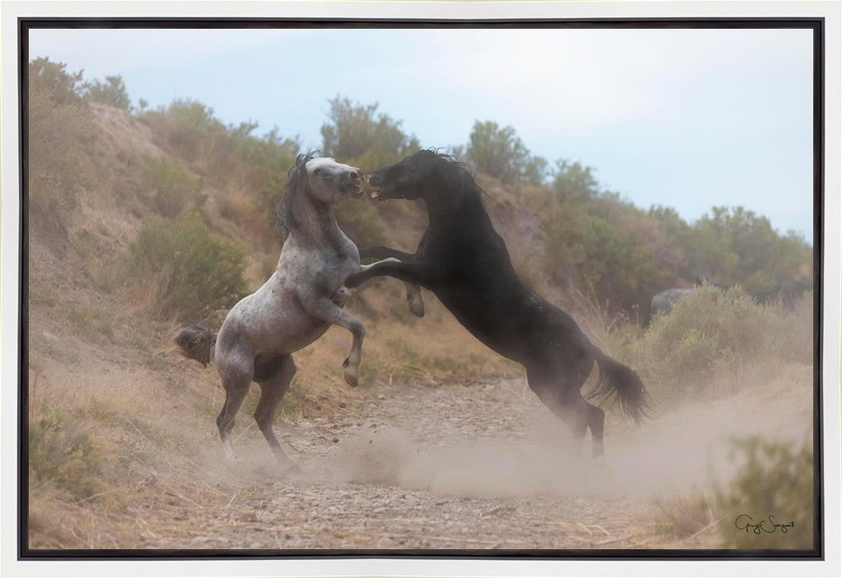 Fight In The Wash