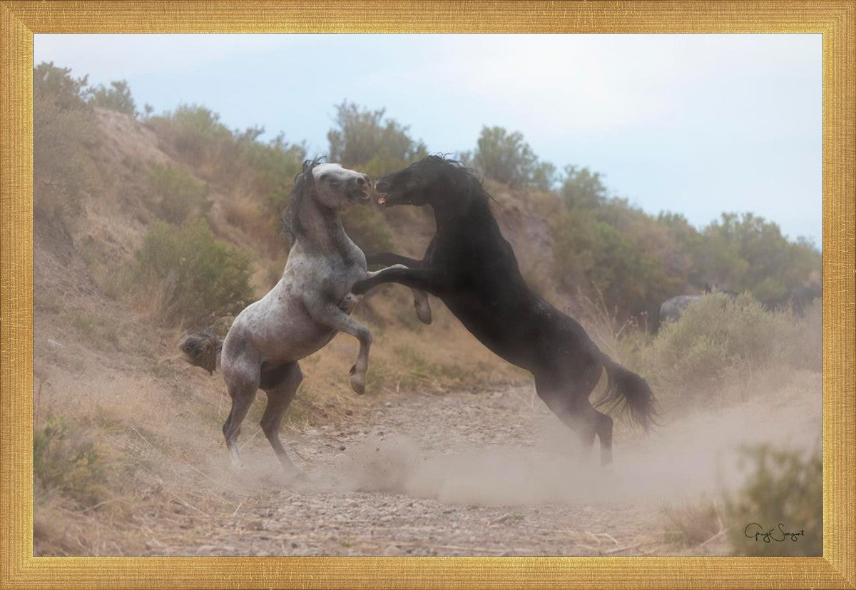Fight In The Wash