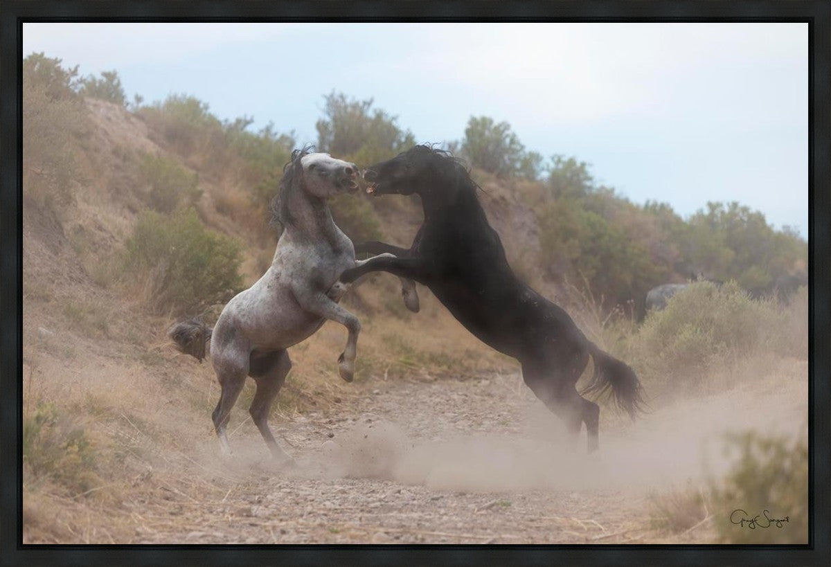 Fight In The Wash