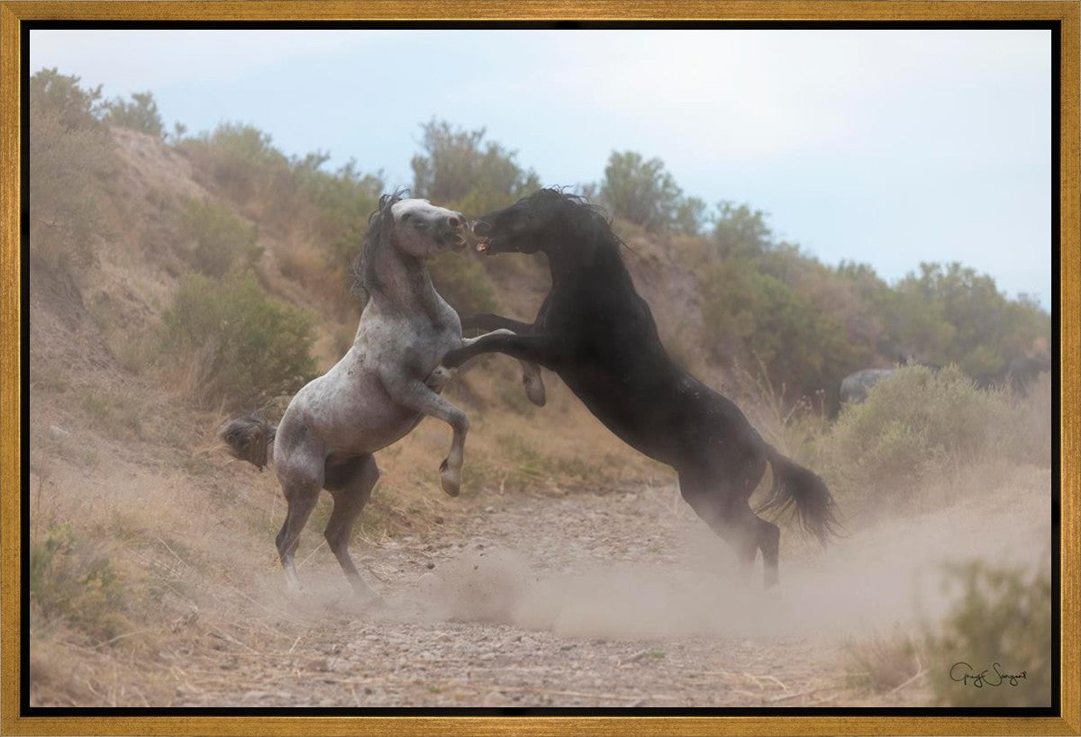 Fight In The Wash