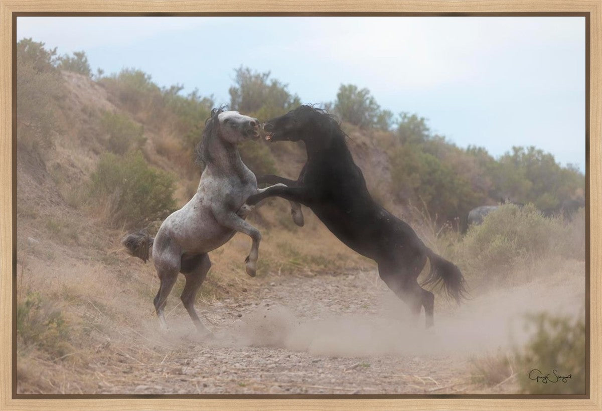 Fight In The Wash