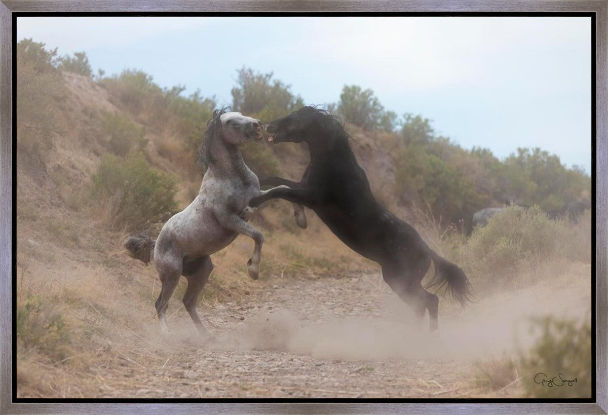 Fight In The Wash
