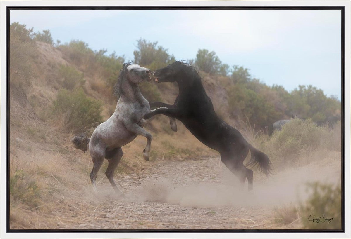 Fight In The Wash