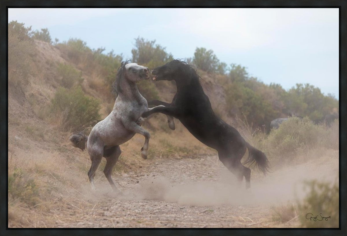 Fight In The Wash