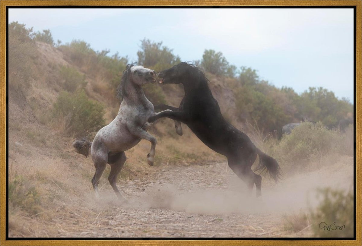 Fight In The Wash
