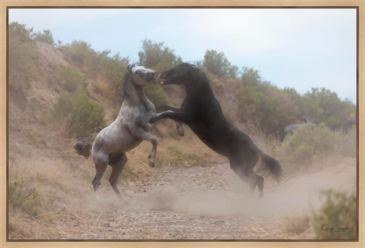 Fight In The Wash
