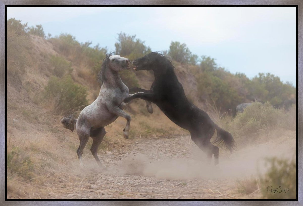 Fight In The Wash