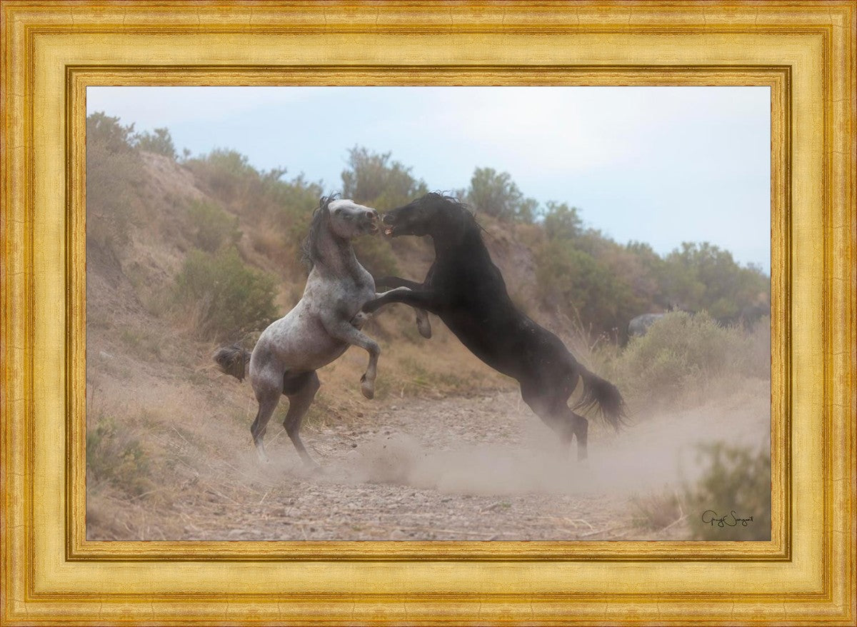 Fight In The Wash