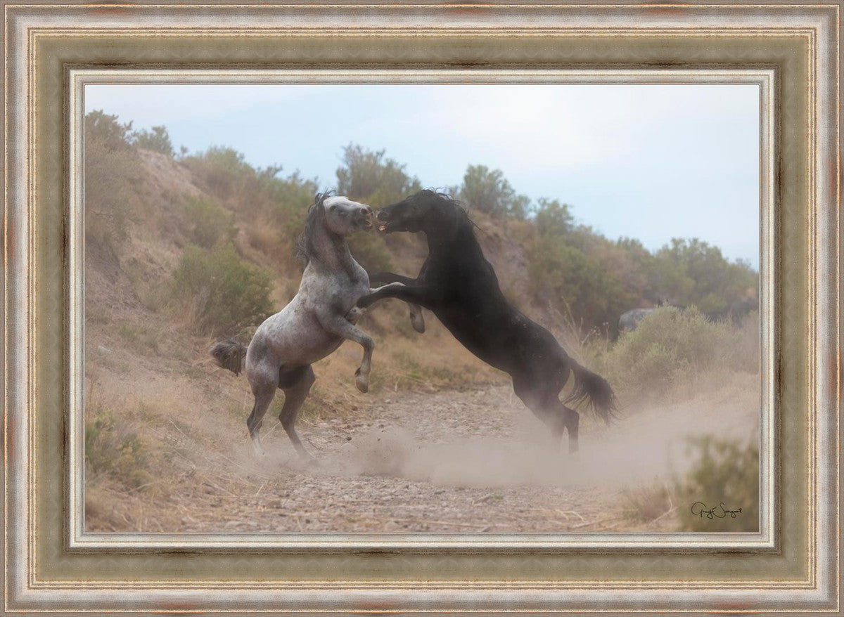 Fight In The Wash