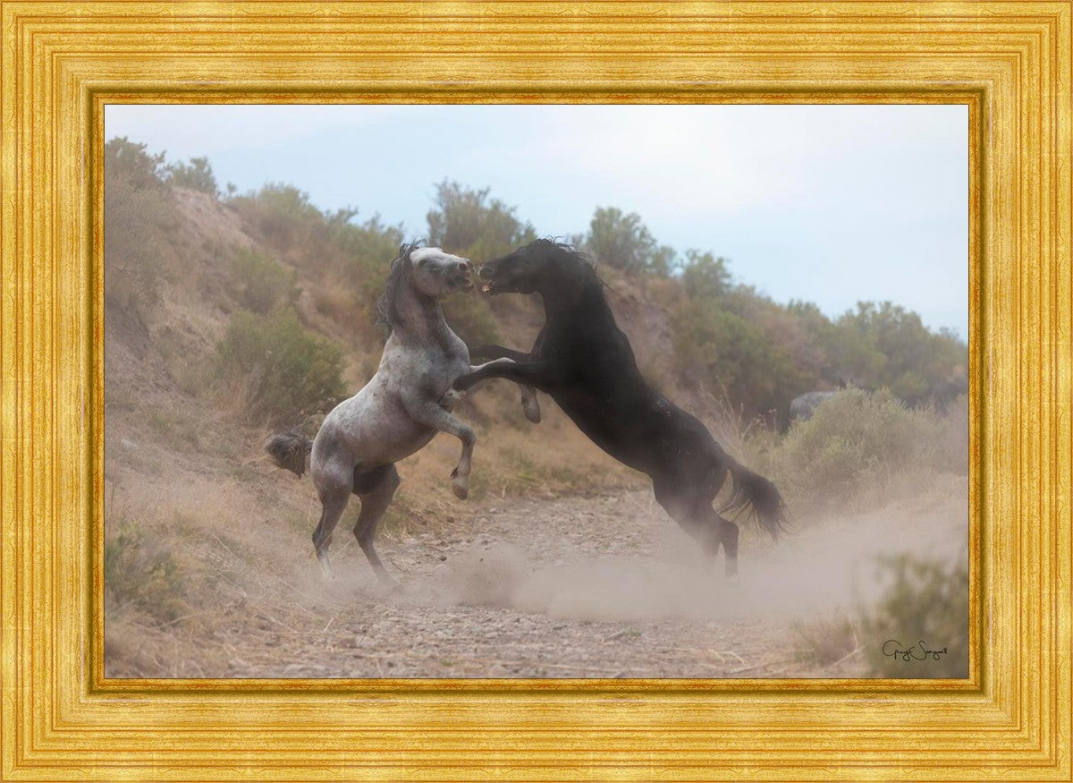 Fight In The Wash