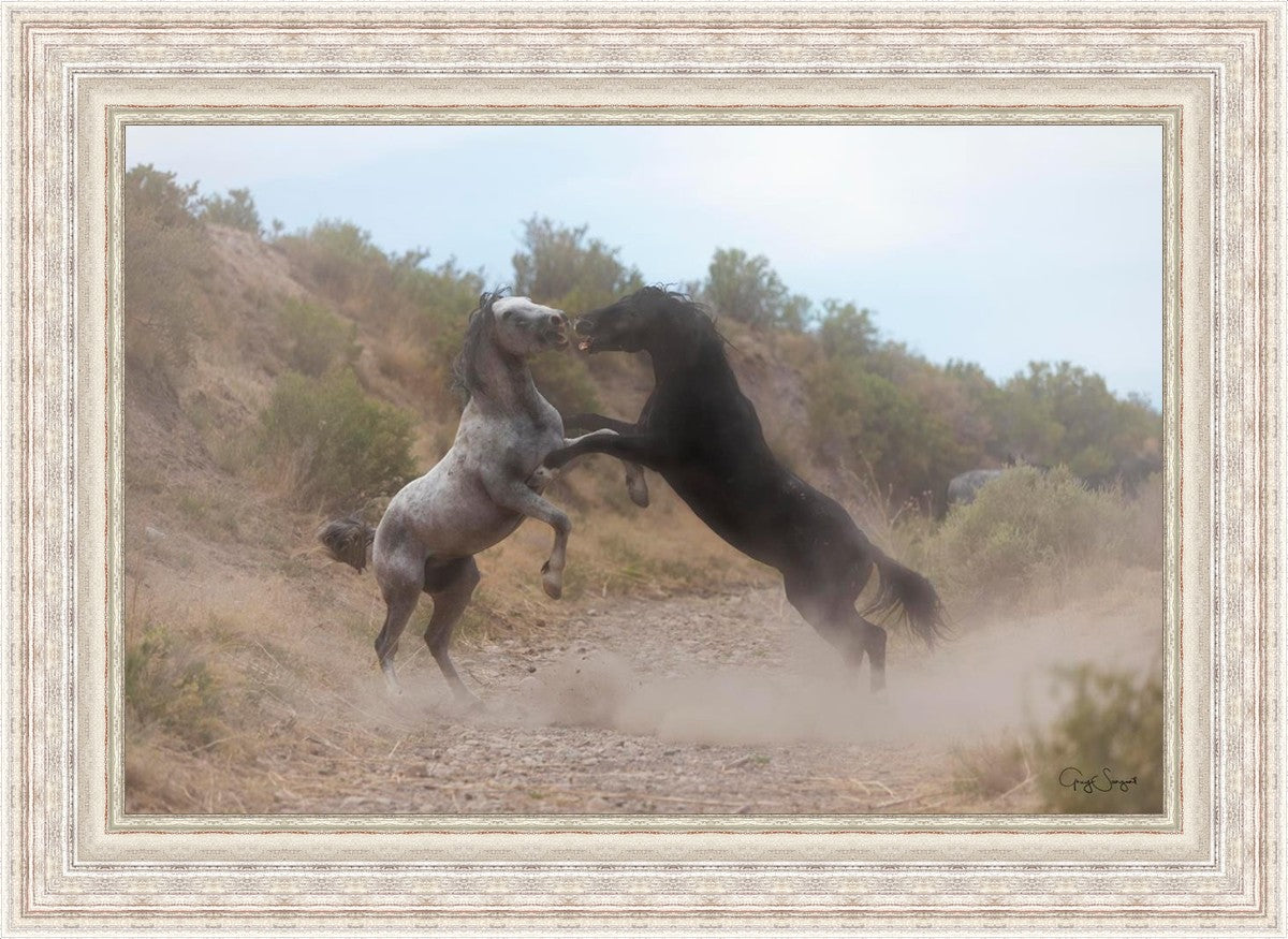 Fight In The Wash
