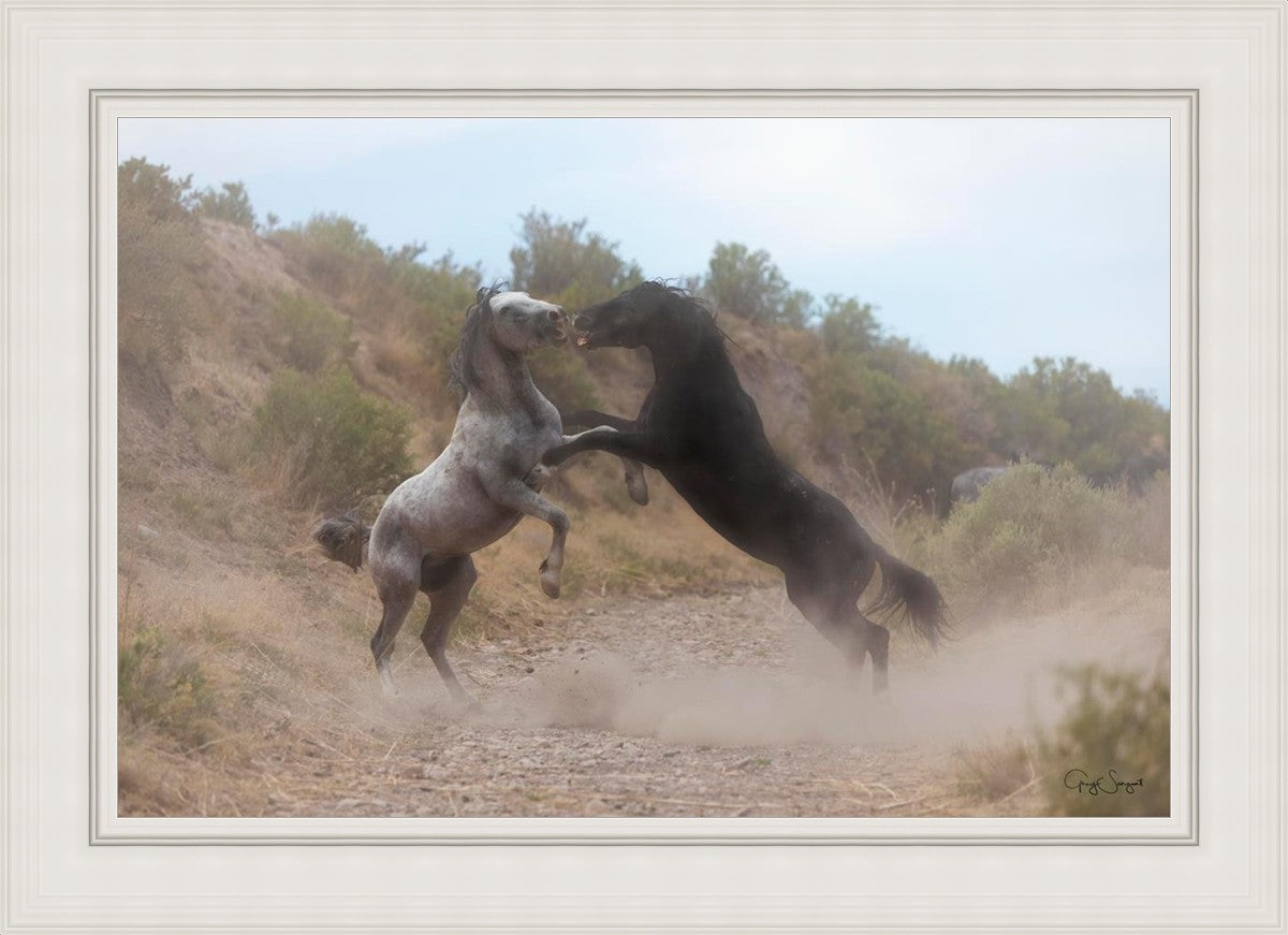 Fight In The Wash