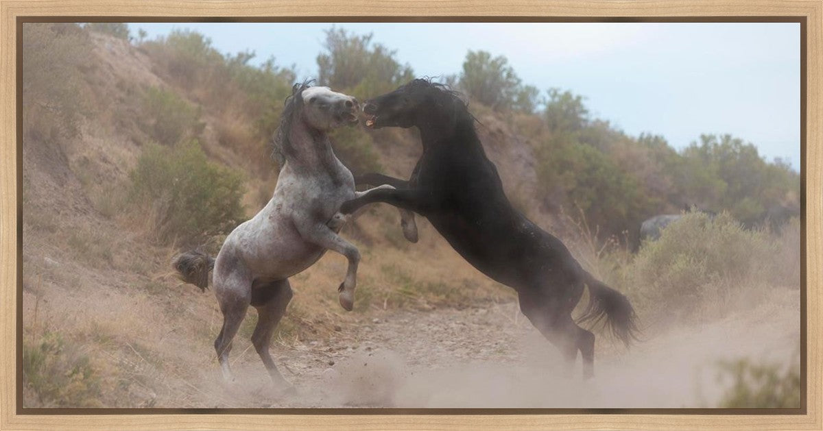 Fight In The Wash