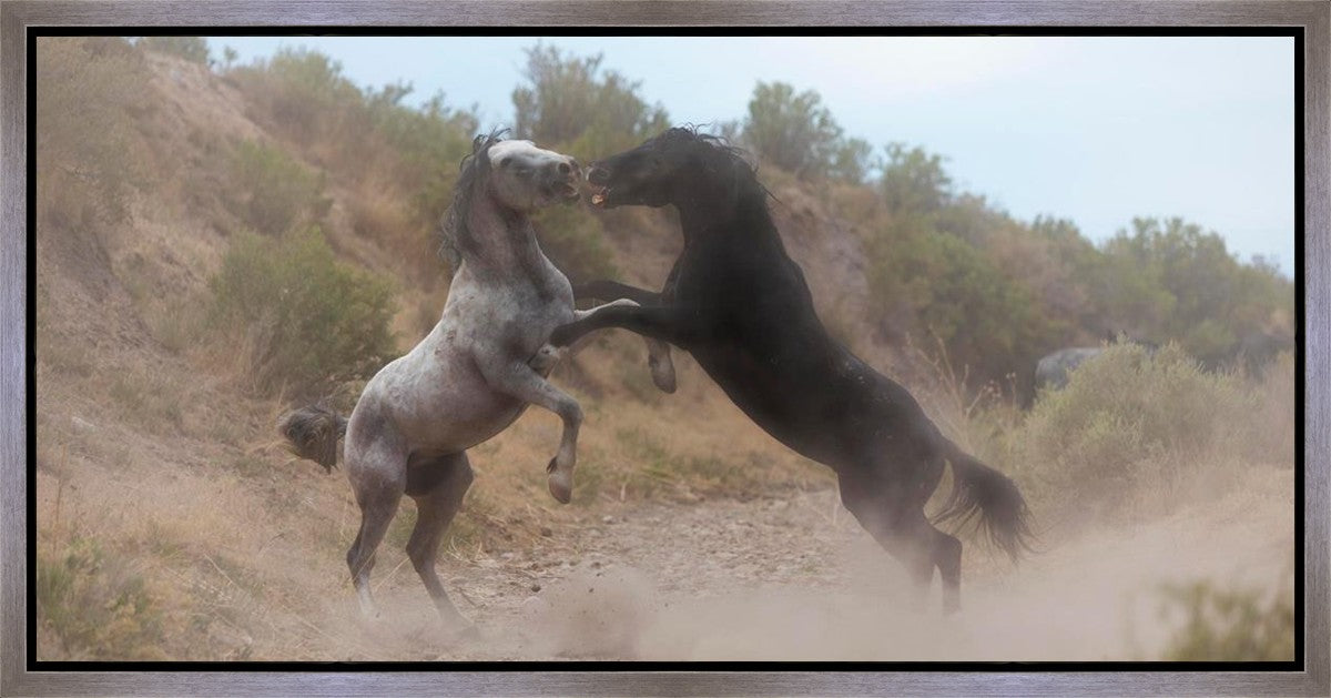 Fight In The Wash