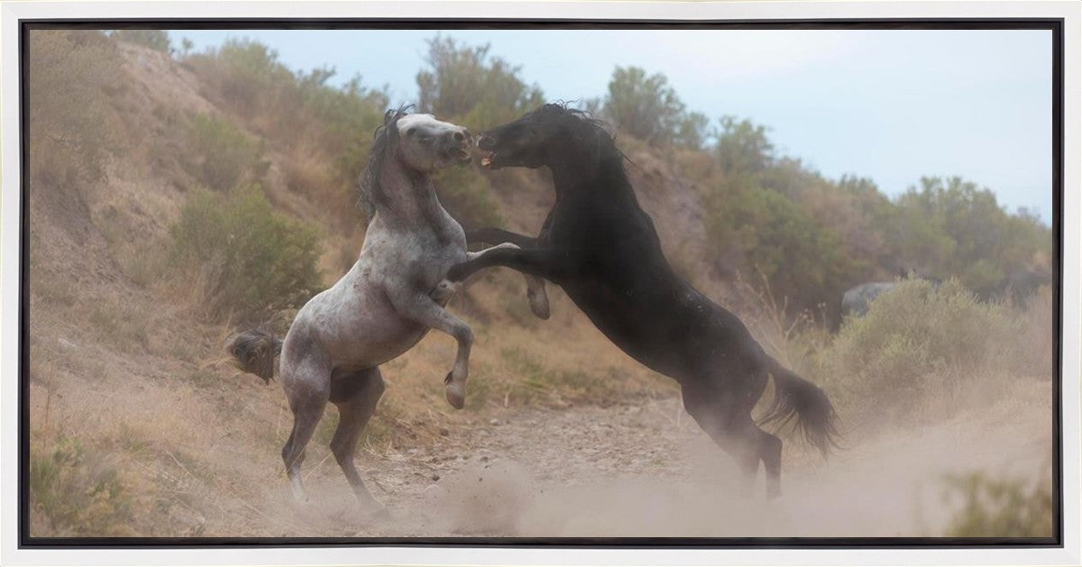 Fight In The Wash