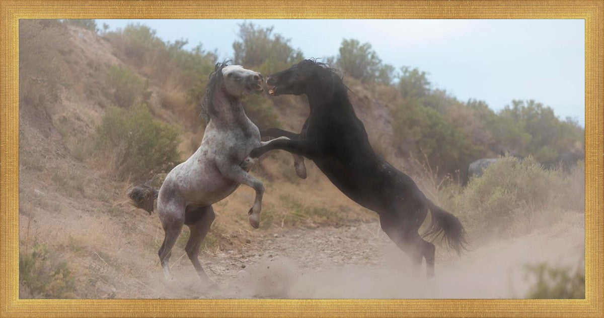Fight In The Wash