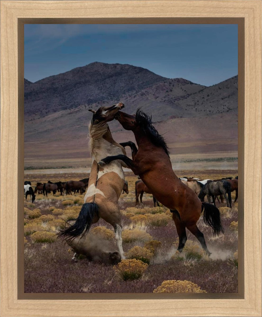 Desert Duel 1