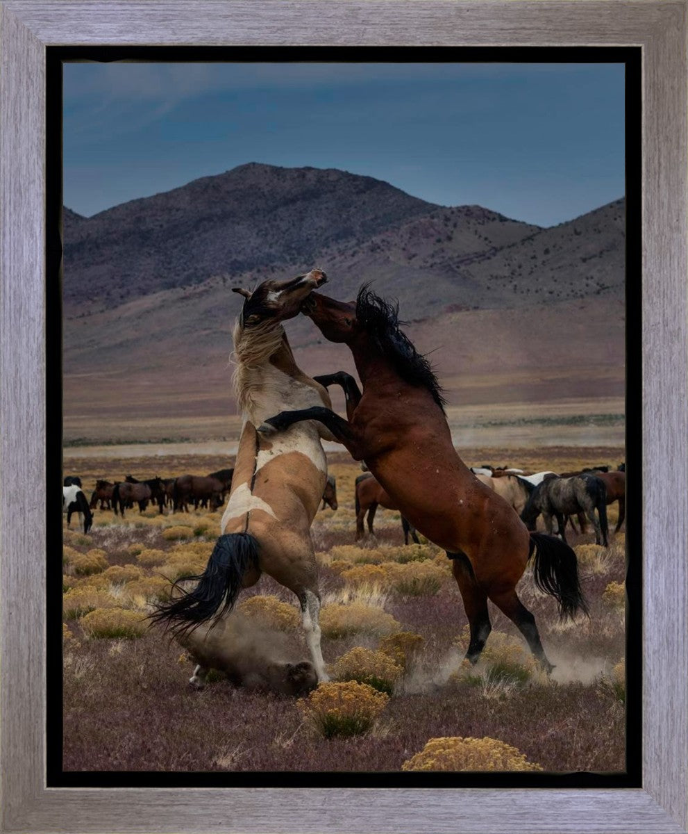 Desert Duel 1