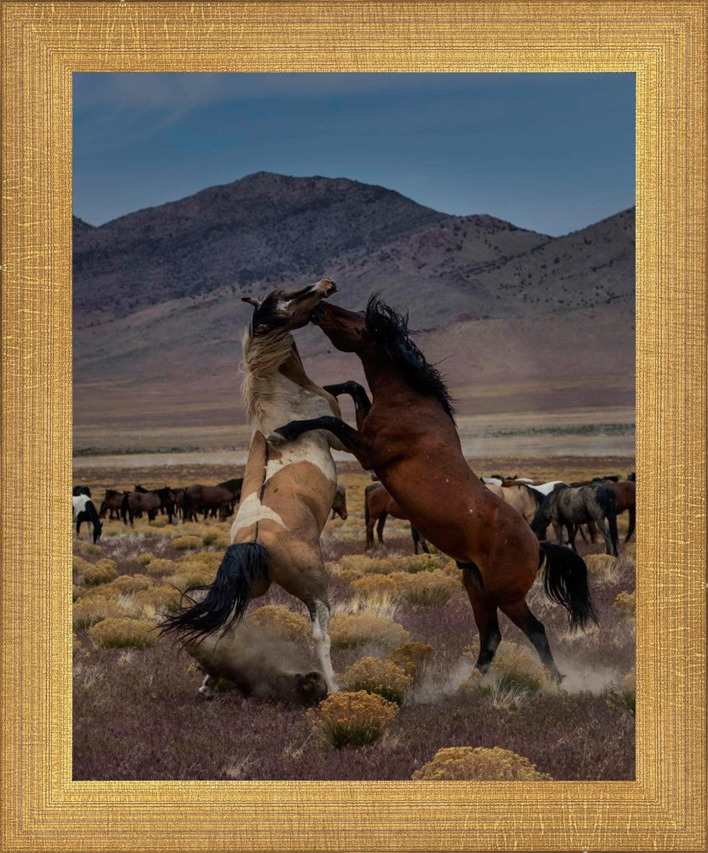 Desert Duel 1