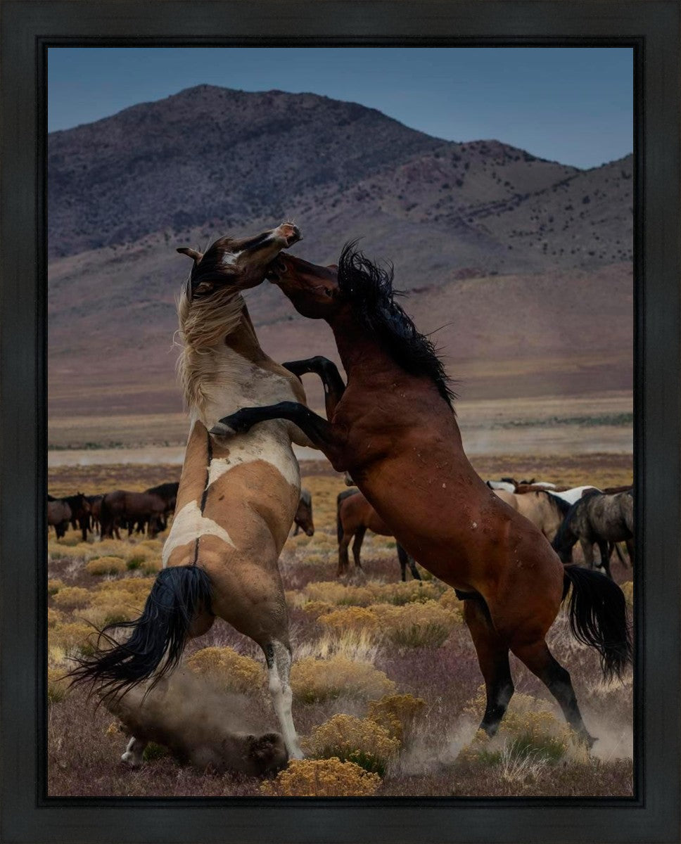 Desert Duel 1