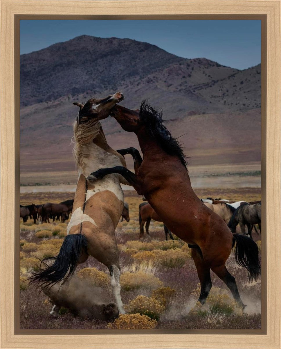 Desert Duel 1