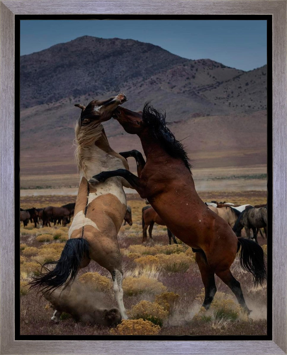 Desert Duel 1