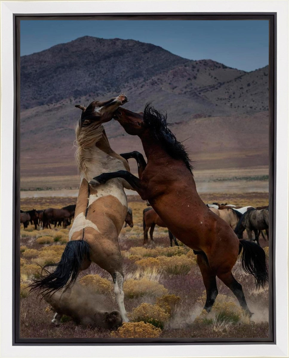 Desert Duel 1