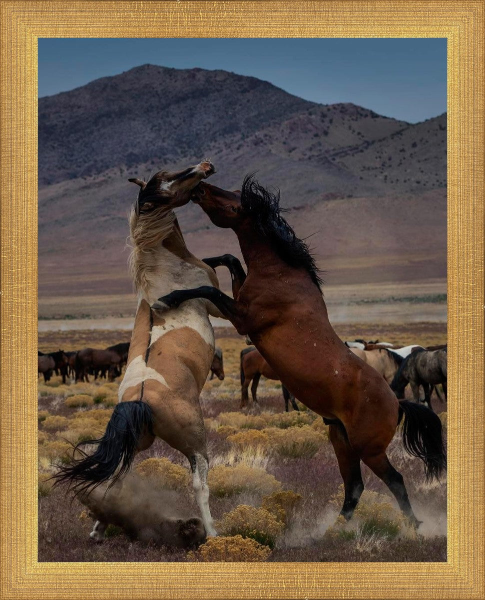 Desert Duel 1