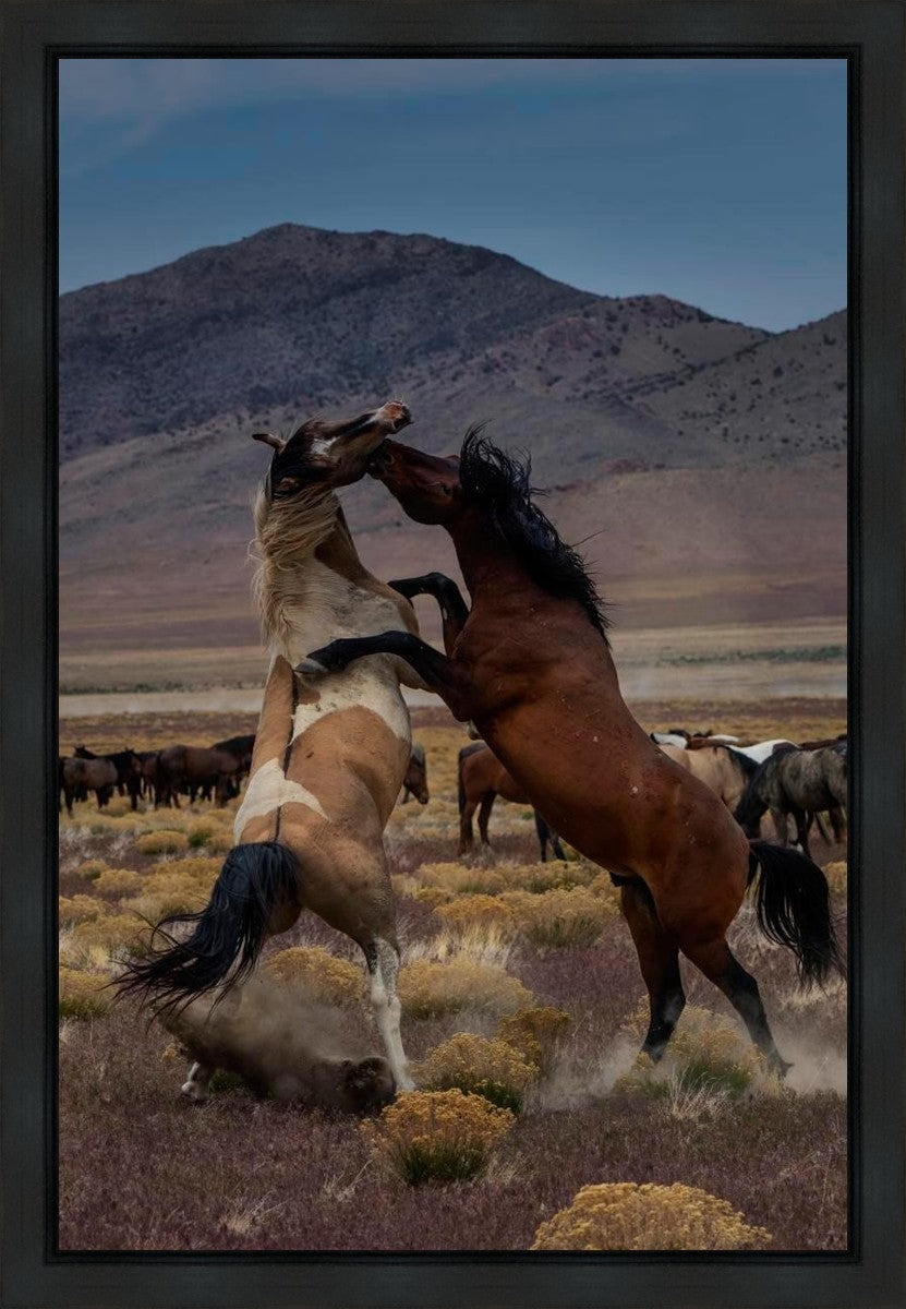 Desert Duel 1