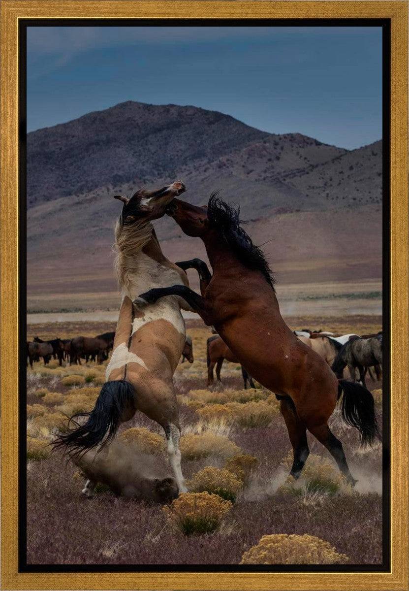 Desert Duel 1