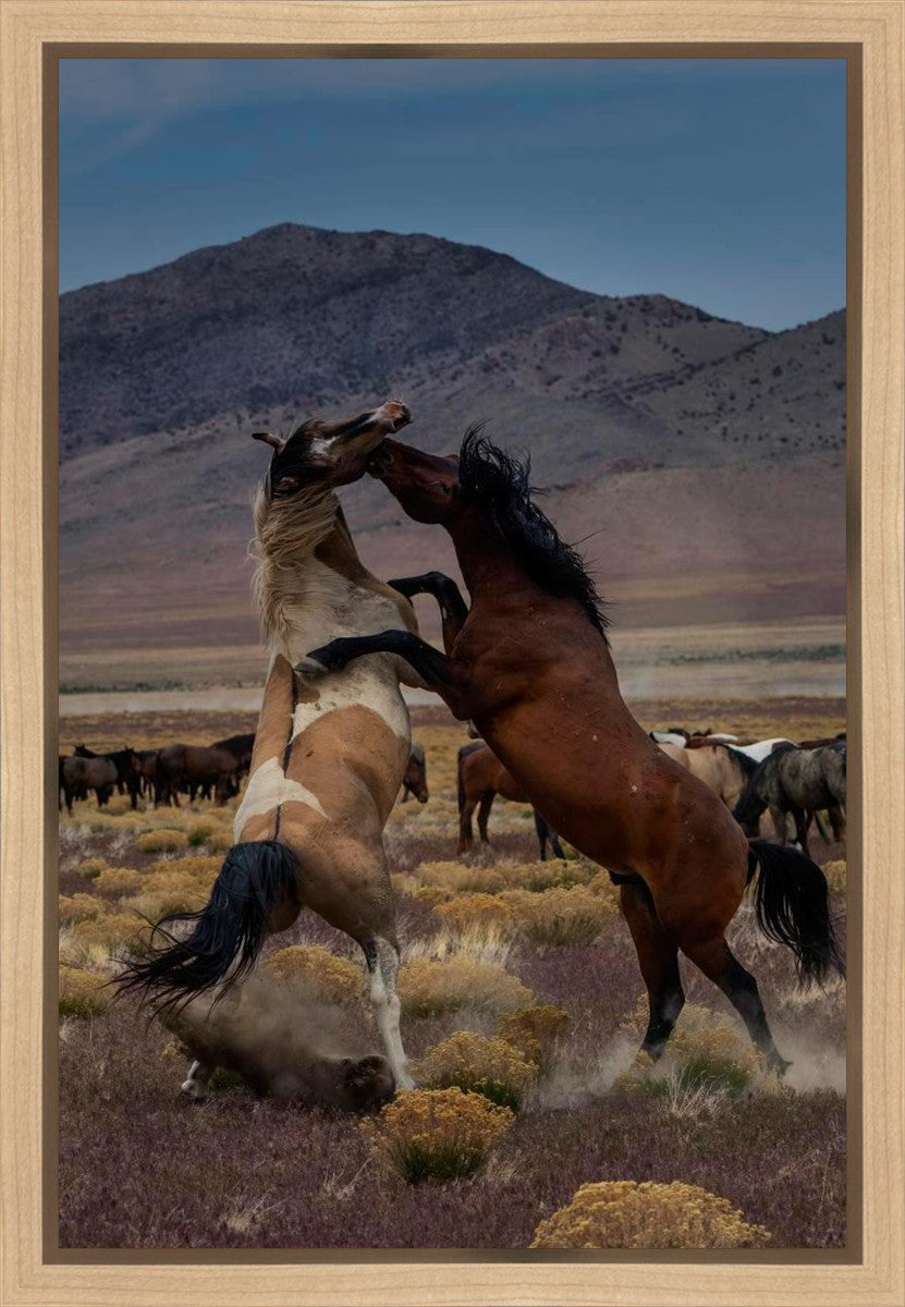 Desert Duel 1