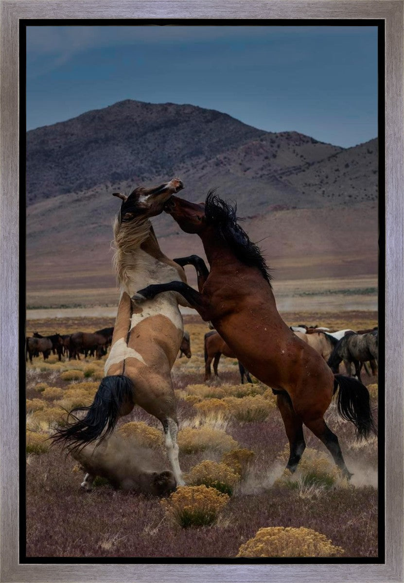 Desert Duel 1