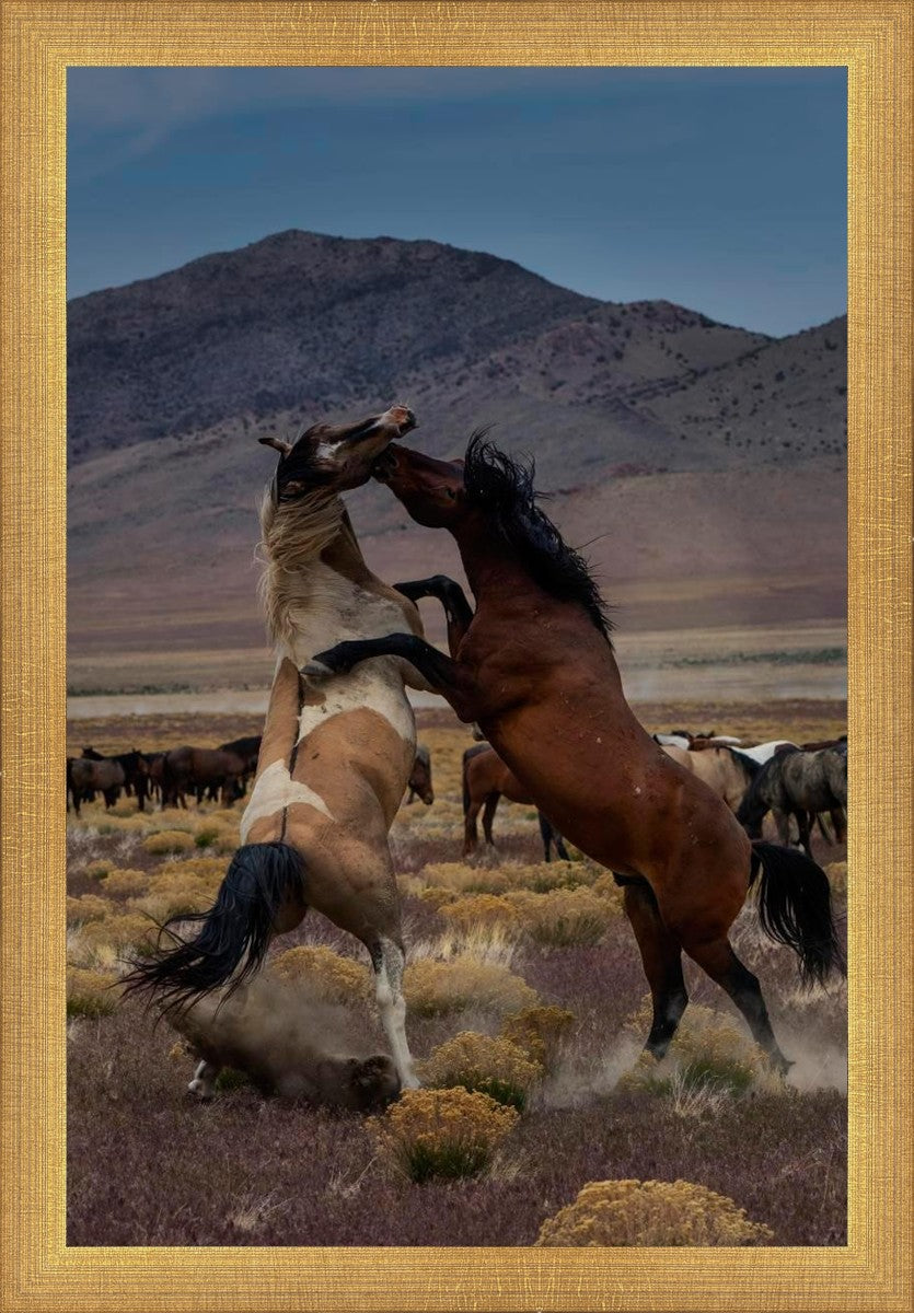 Desert Duel 1