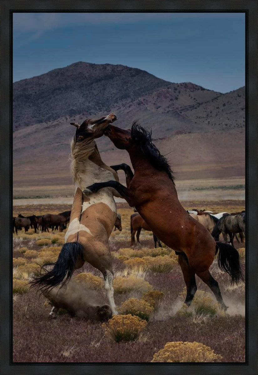 Desert Duel 1