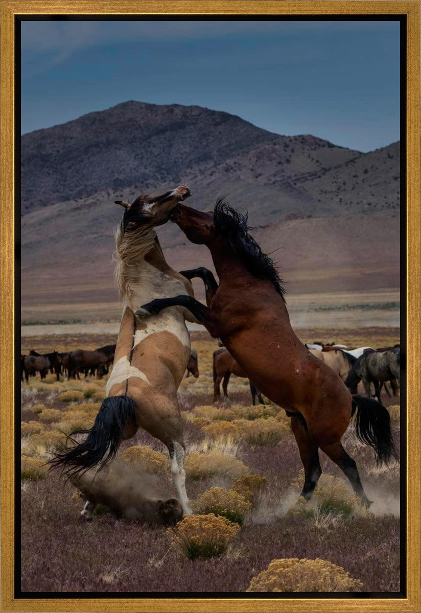 Desert Duel 1