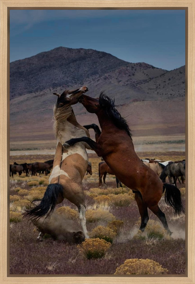 Desert Duel 1