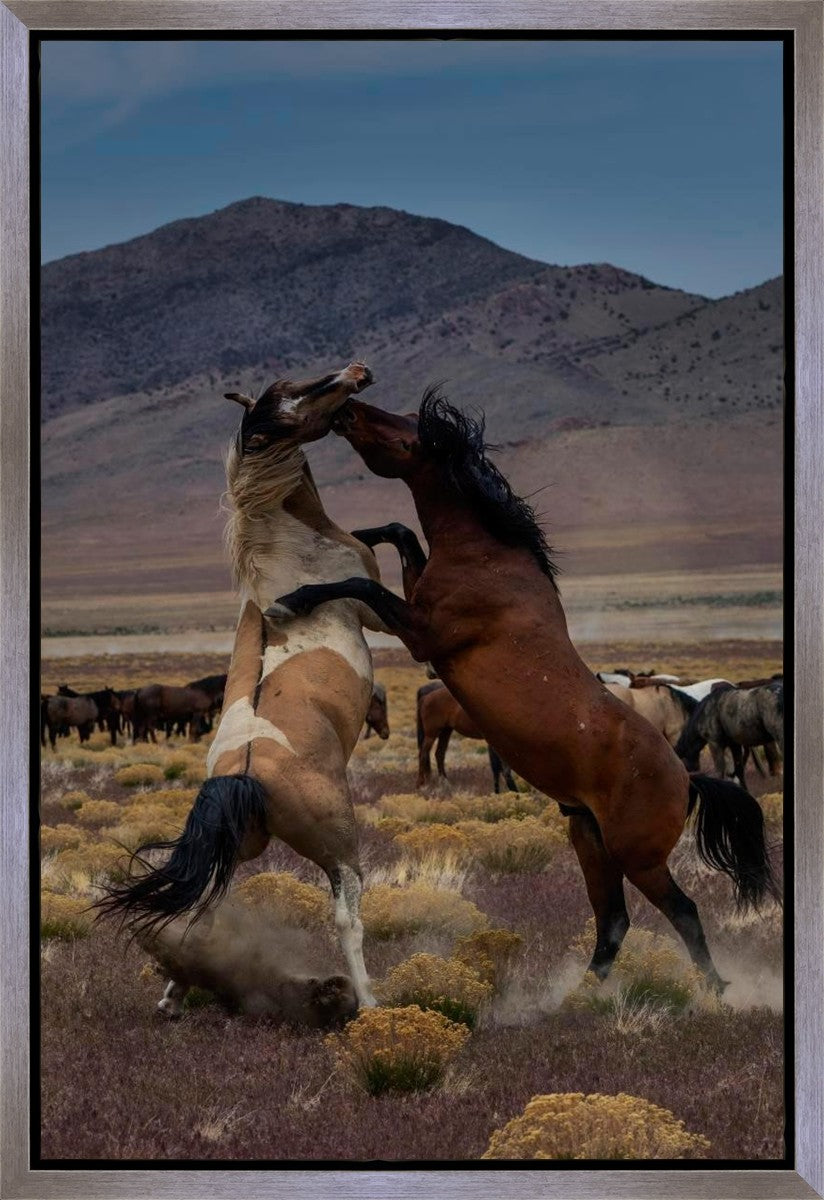 Desert Duel 1