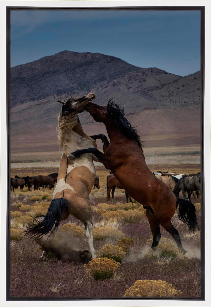 Desert Duel 1