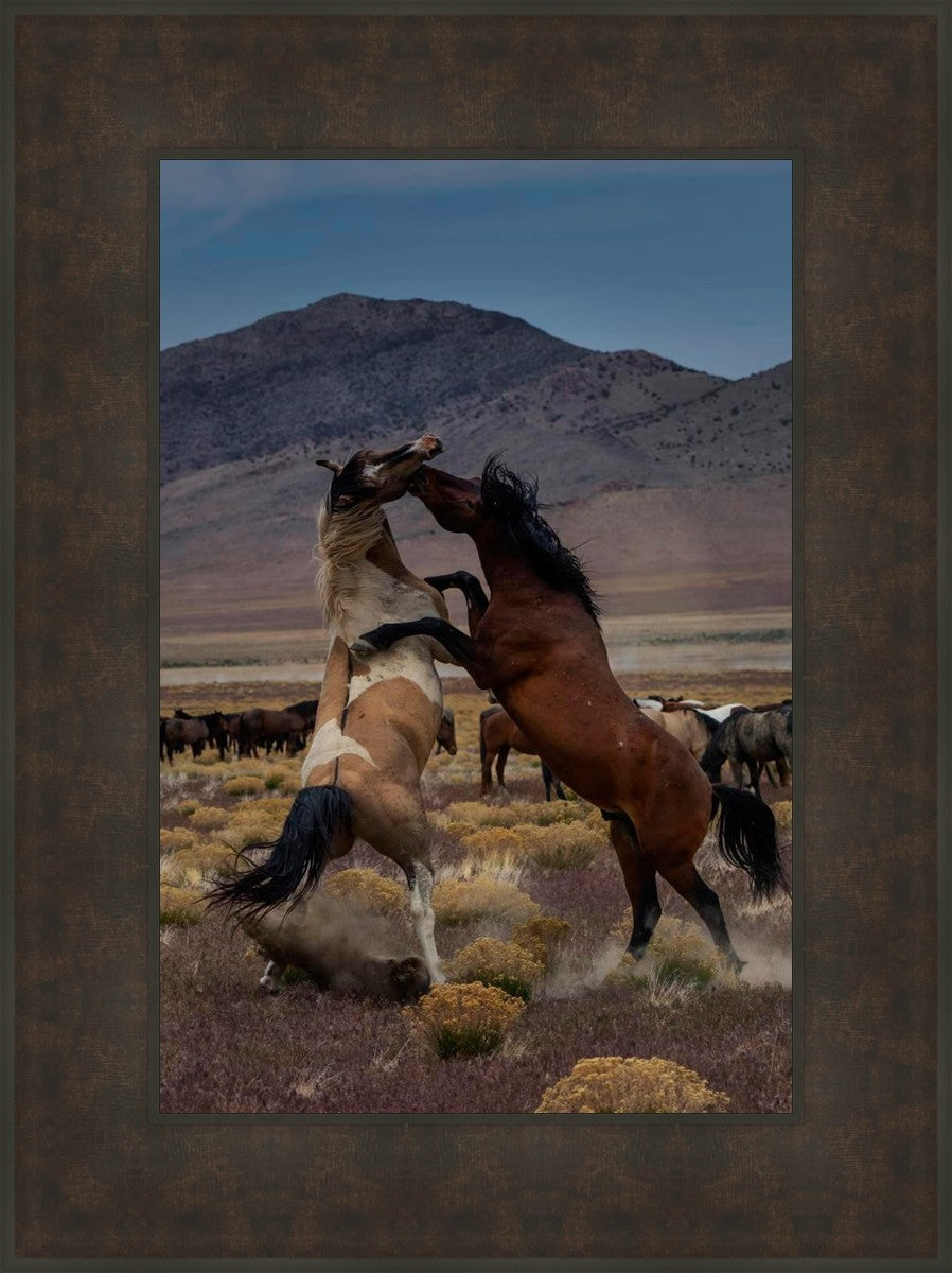 Desert Duel 1